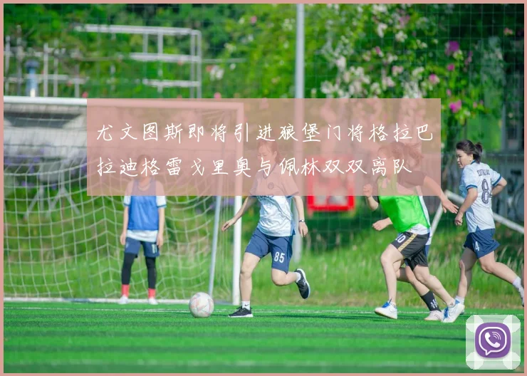 尤文图斯即将引进狼堡门将格拉巴拉迪格雷戈里奥与佩林双双离队
